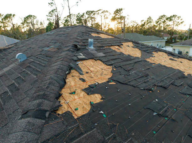 Best Roofing for New Construction  in Ben Bolt, TX