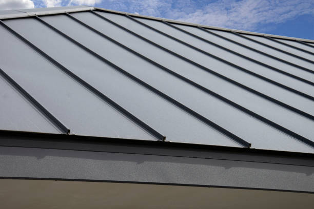Best Gutter Installation and Repair  in Ben Bolt, TX